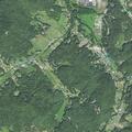 Officers check reports of person in woods near homes