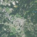 Person reported sick near Hill Street, Forest City