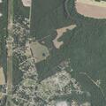Woman conscious after intentional cleaner ingestion near Old Grantham Road in Goldsboro