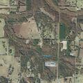 Criminal mischief reported at Pumpkin Center Circle