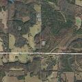 Grass fire reignites near County Line Road
