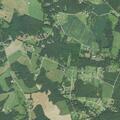 Domestic assault reported near Ledford Road in Ellenboro