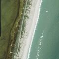 Person stung by stingray at beach access ramp