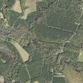 Downed tree blocks lane on Core Point Road