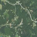 Tree falls on vehicle on NC 80 at Pinewood Drive