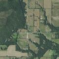 Loose mules reported on rural roadway