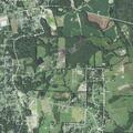 Person reported sick near Delma Grimes Road