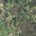 Person withdrawing from Xanax wandering in woods