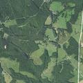 Sick person reported near Hinton Creek Road in Ellenboro