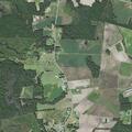 Person fell near Woodard Road in Princeton