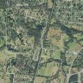 Traffic check on vehicle near Troy Drive