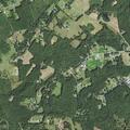 Person reportedly hunting on property at night