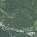 Bear reported damaging a child’s car near Buddy Lane in Chimney Rock