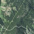 Person fainted near Chestnut Ridge Road in Mills River