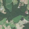 90-year-old woman falls and hits head at Stocks McLawhorn Rd