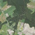 Female psychiatric emergency at Gum Swamp Road