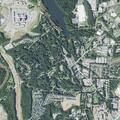Person with abdominal pain near River Glen Drive