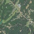 Bear reported at back door on Old Plank Road