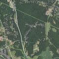 Car hits tree on Davidson Road