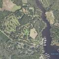 78-year-old woman falls near Forest Lane in Washington