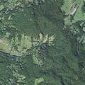 Person fell near Fox Branch Road in Fairview