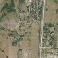 Loose cattle blocking South 230 Road