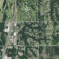 61-year-old man with back pain near Forest Park