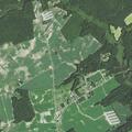 Person reported sick near Apple Tree Road in Stantonsburg