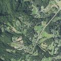Person reported sick at Hidden Forest Estate