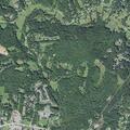 Person fainted near Ledgestone Drive and Miller Road
