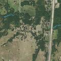 Cows repeatedly on neighbor’s property in Henryetta