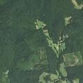 Person reported sick near Camp Knob Road in Casar