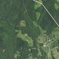 Deputies check 911 hang-up on Forest Morrison Road