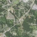 53-year-old female feels faint when standing in Landis
