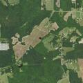 Woman suffering severe left leg pain in Goldston