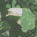 87-year-old woman found unconscious at Beaman Farm Rd