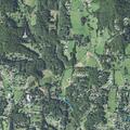 Person reported sick near Rhinehart Road in Candler