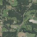Elderly man with severe stomach pain in Ozark