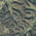 65-year-old man with possible seizures at Ridgetop Rd