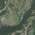 Tree blocking curve near Wind Mountain Golf Course