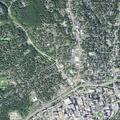 Person experienced fainting near Flint Street in Asheville