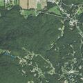 73-year-old man threatening suicide near Branson Creek Dr