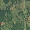 Follow-up on stolen cattle at rural address