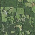 Person reported sick near Leach Meadow Road in Seagrove