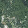 74-year-old woman with stroke symptoms in Swannanoa