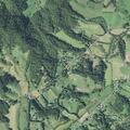 Person has allergic reaction near Bob White Hill
