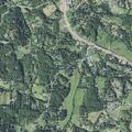 Person collapses from syncope near Dix Creek (number withheld) Road