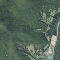 Person experiencing fainting episode on Lake Eden Road