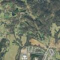 Person reported sick near Cottage Drive in Columbia