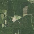 Reckless driver flees at high speed near US 15